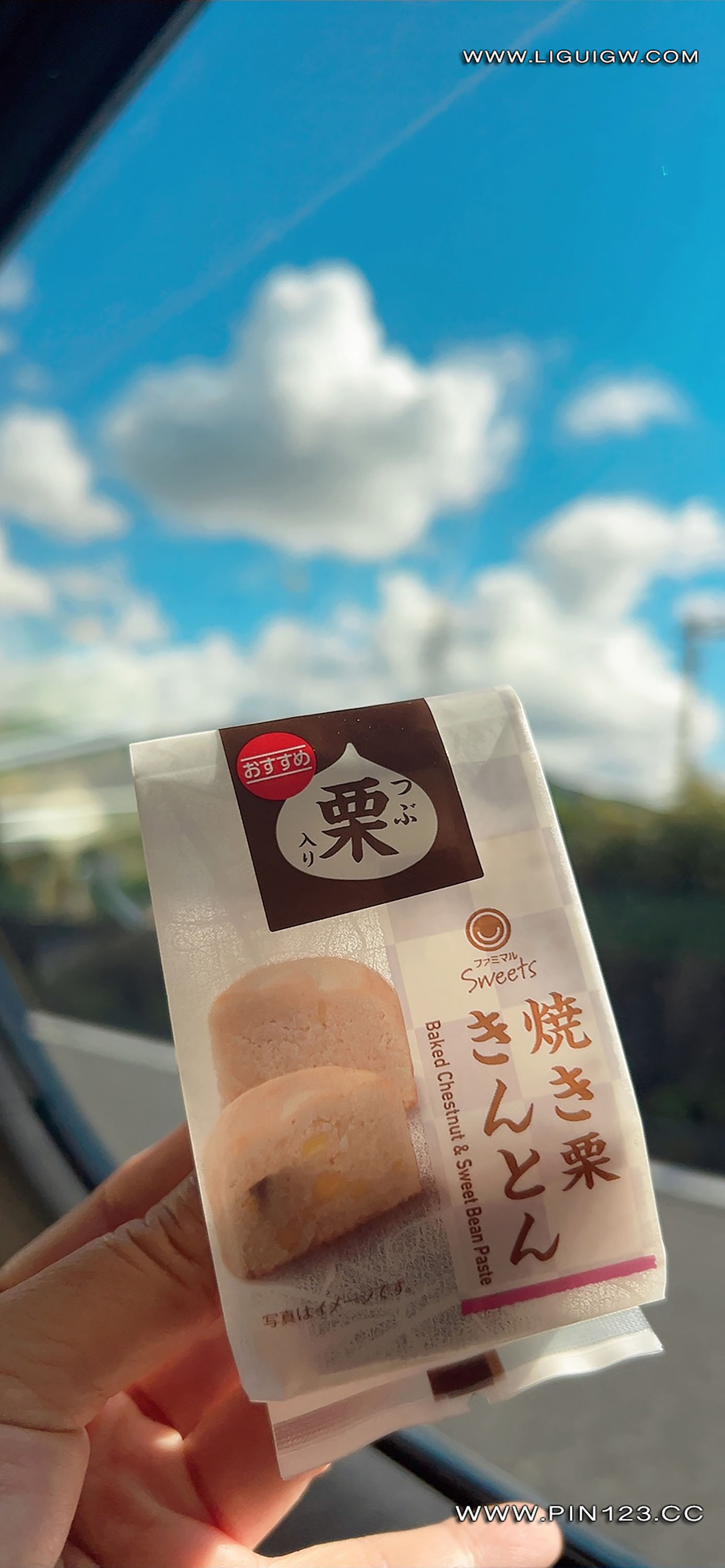 Ligui丽柜  2024.11.14 日本旅拍3 兔子